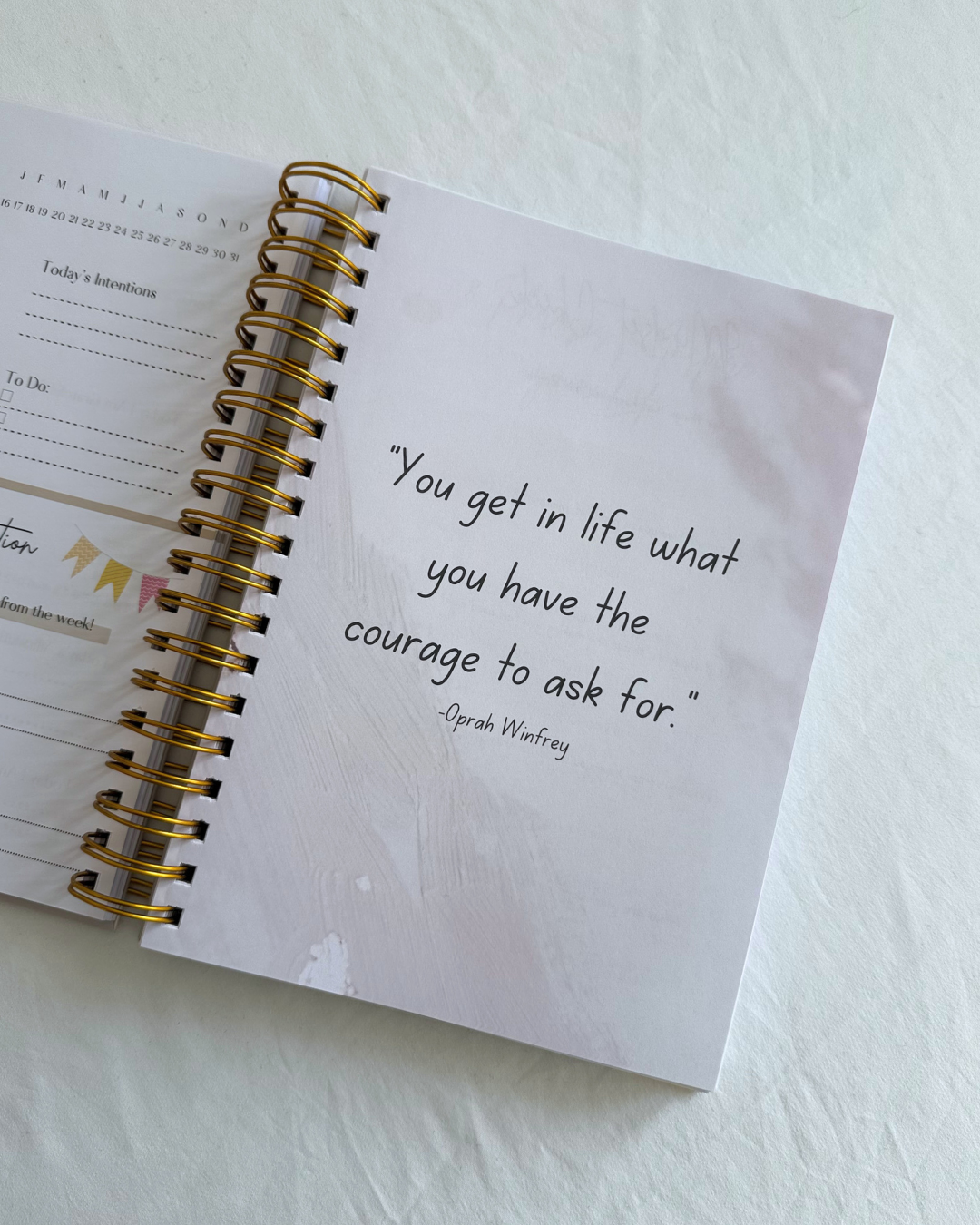 Dream, Plan, Manifest Planner - The Perfect Pink