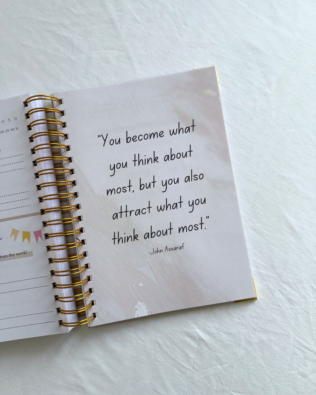 Dream, Plan, Manifest Planner - The Perfect Pink