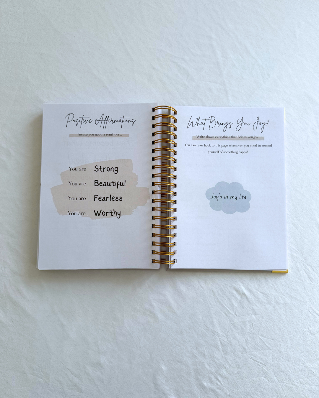 Dream, Plan, Manifest Planner - The Perfect Pink