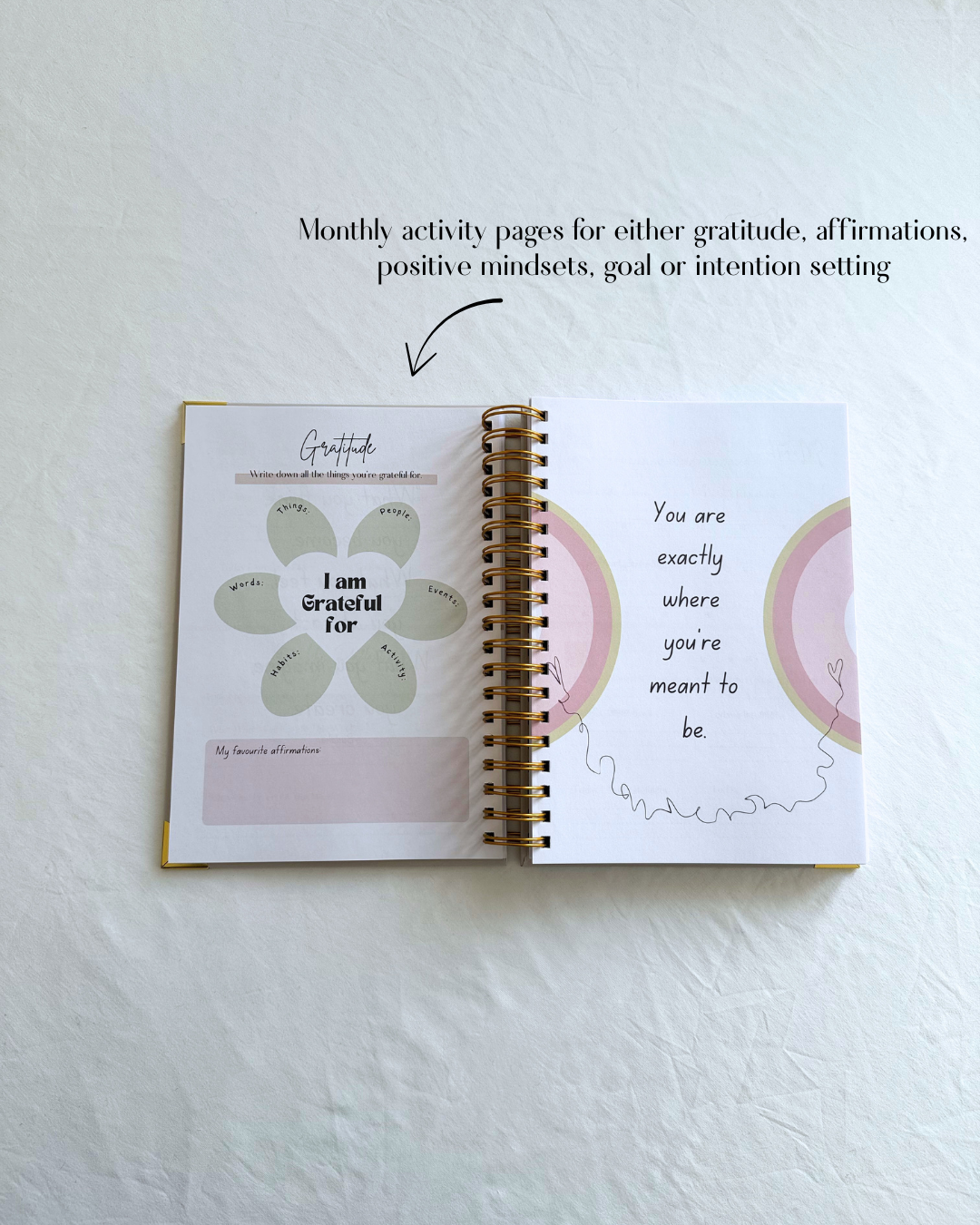 Dream, Plan, Manifest Planner - The Perfect Pink