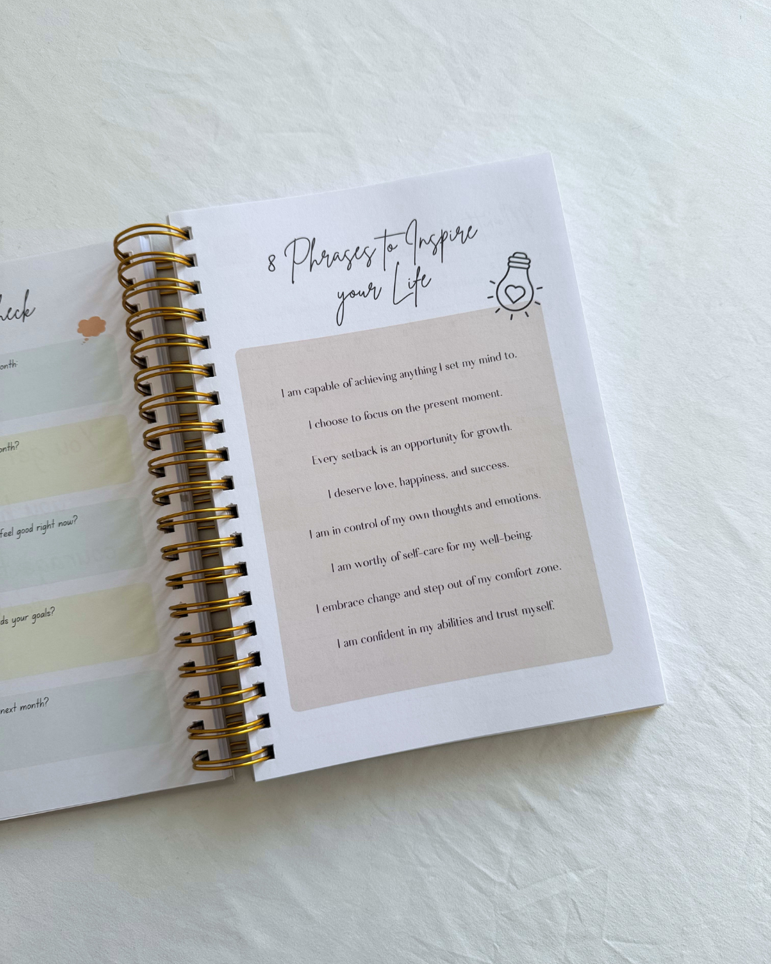 Dream, Plan, Manifest Planner - The Perfect Pink
